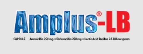 एमोक्सिसिलिन डाइक्लोक्सासिलिन और लैक्टिक एसिड बैसिलस एंटीबायोटिक कैप्सूल