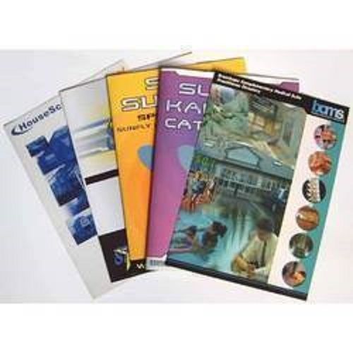 Multicolor Brochure Printing Services