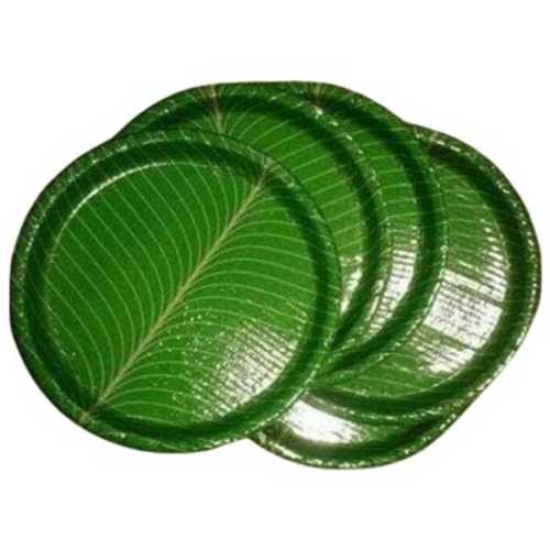 14 Inch Green Disposable Paper Plates