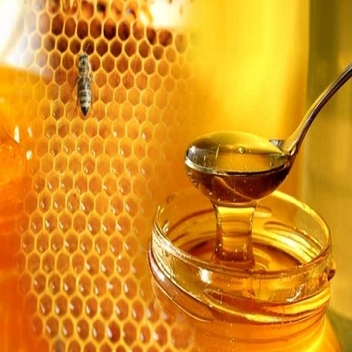 Sucrose 5% Healthy Energizes Sweet Gel Pure Honey