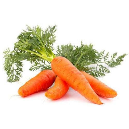 विटामिन ए 33% कैल्शियम 3% प्राकृतिक स्वाद स्वस्थ जैविक ताजा गाजर 