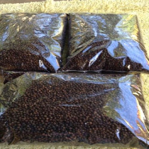 Natural and Fresh Black Pepper