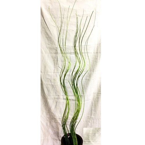Polyester Polished Green Dry Flower Sticks