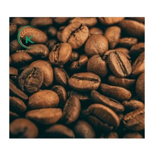 Brown Color Natural Coffee Beans