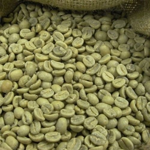 Organic Green Color Robusta Coffee Beans Brix (%): 0.5%