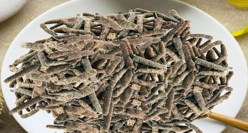 Whole Dried Medicinal Piper Longum Root Pippali