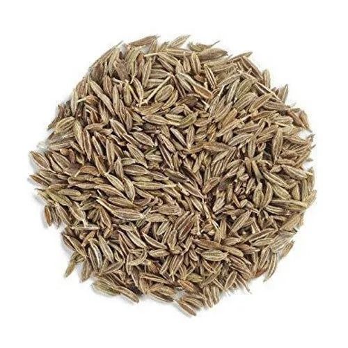 Brown Aesthetic Taste Cumin Seeds