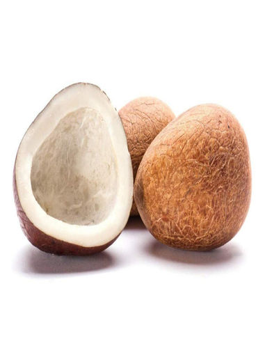 Indian Origin A Grade Dry Coconut
