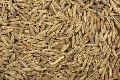 Fine Natural Taste Long Shelf Life Dried Brown Cumin Seeds