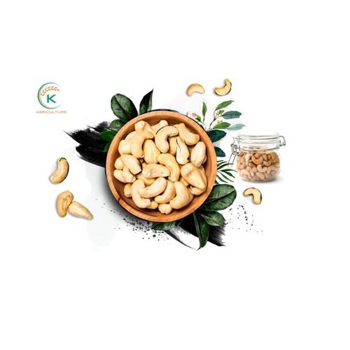 Raw Dried Vietnamese Cashew Nuts