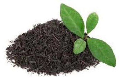 Assam Leaf Green Tea