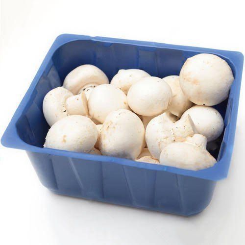 Hips Disposable Mushroom Tray, Finest Quality, Environment Friendly, Hard Texture, Square Shape, Blue Color, Capacity : 200gms