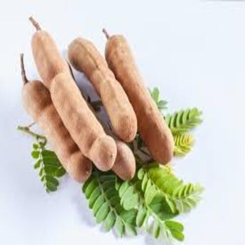 Sour Natural Taste Healthy Organic Brown Fresh Tamarind Pods