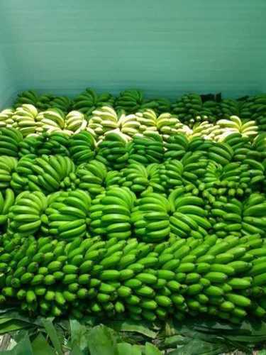 Human Consumption Green Banana