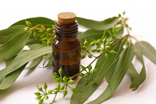 100% Pure Organic Eucalyptus Oil