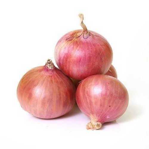 Round Food Grade Red Onions 