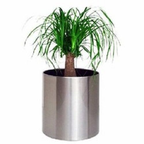 Garden Decorative Flower Pot And Planter