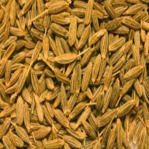 Immature 1% Fine Natural Taste Dried Healthy Organic Brown Cumin Seeds Grade: Food Grade