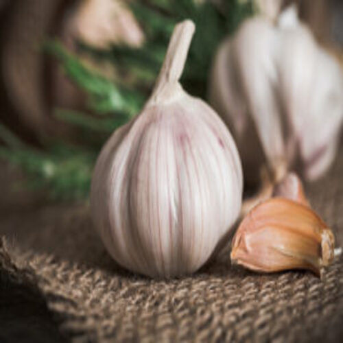 Rich In Taste Natural Healthy Organic White Fresh Garlic