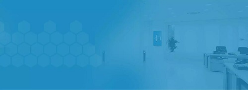 WordPress Development Services