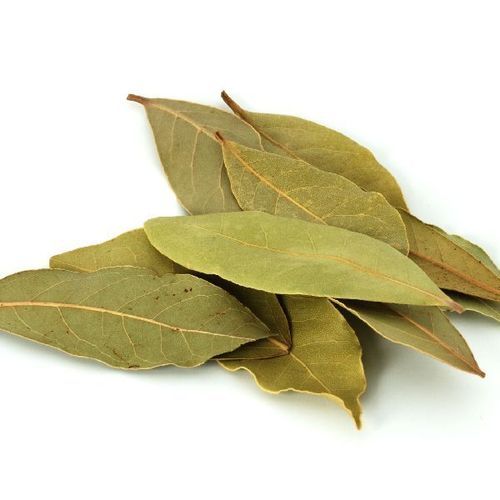 No Pesticide Rich In Taste Natural Healthy Dried Green Bay Leaves Grade: Food Grade