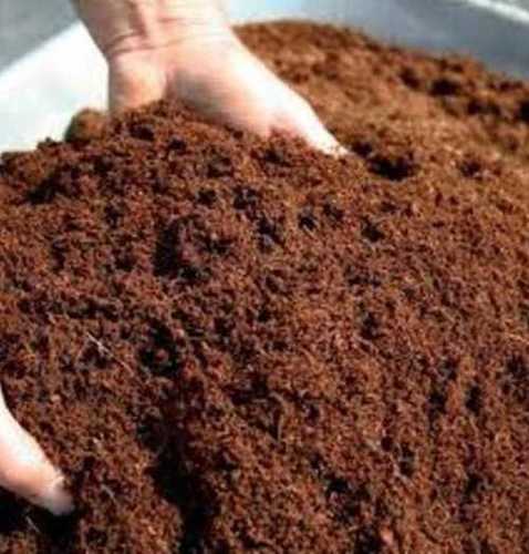 Light Brown Coco Peat Powder