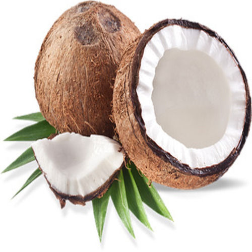 Maturity 100% Potassium 10% Dietary Fiber 36% Good Natural Taste Healthy Organic Brown Fresh Coconut