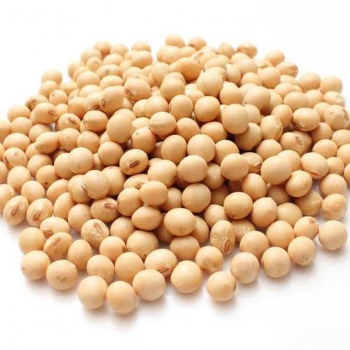Organic Non Gmo Yellow Soybean