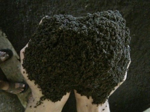 Black Vermicompost Fertilizer 50Kg