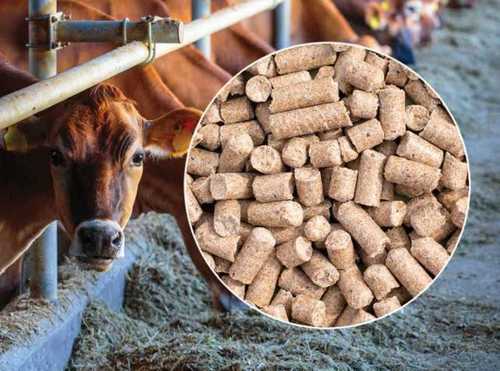 Light Brown Cattle Feed