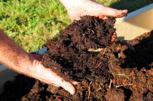Natural Soil Compost 50Kg