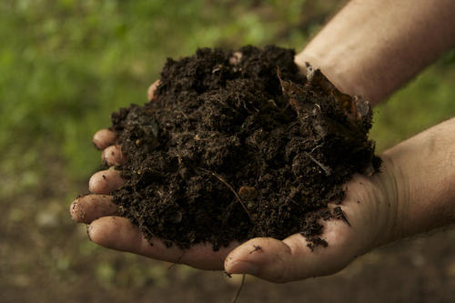 Organic Soil Compost 60Kg