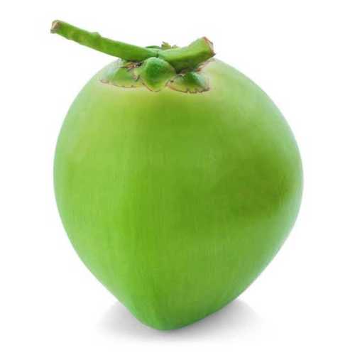 Fresh Soft Texture Green Coconut