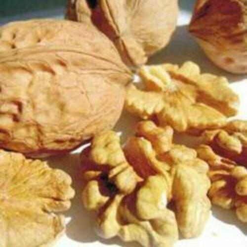 Naturally Processed And Peeled Type Brown Color Organic Walnuts