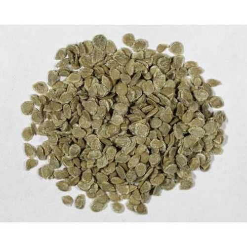 Green Organic Hybrid Tomato Seed