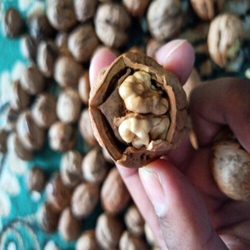 Rich In Nutrients And Antioxidant A Grade White Cream Color Whole Walnuts Broken (%): 1%