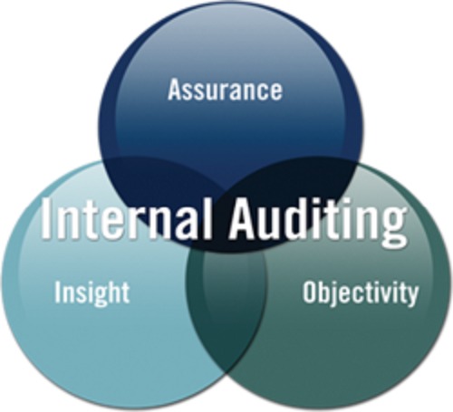 Internal Auditing Services By ANOOP ACHINT & ASSOCIATES