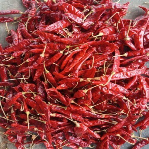 Whole Sanam Variety Dry Red Chilli Flakes Pure Natural Spicy Taste With Stem