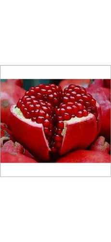 Natural Taste Pomegranate Fruit