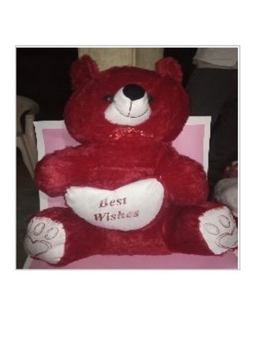 Red Color Teddy Bear Soft Toy