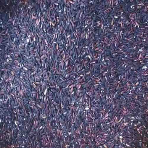 High In Protein Natural Taste Dried Organic Black Rice Origin: India