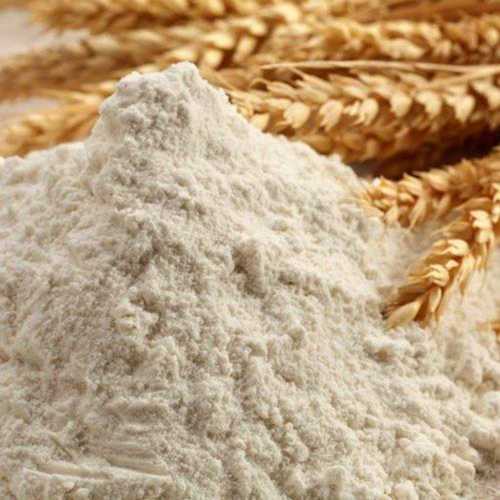 Organic White Wheat Flour 