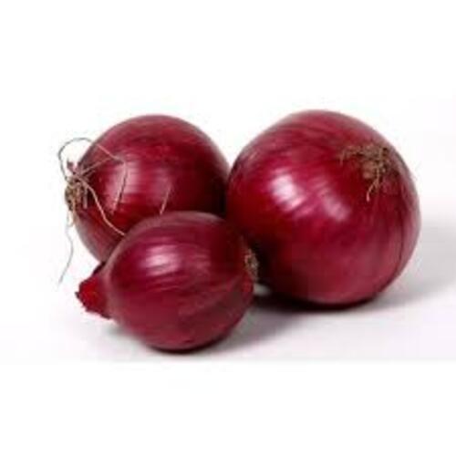 Hygienic Natural Taste Healthy Organic Fresh Hybrid Red Onion