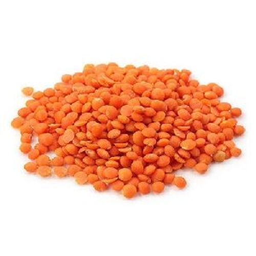 Natural Fresh Red Lentils for Cooking