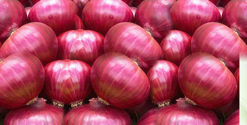 Organic Rich Aroma Fresh Red Onion
