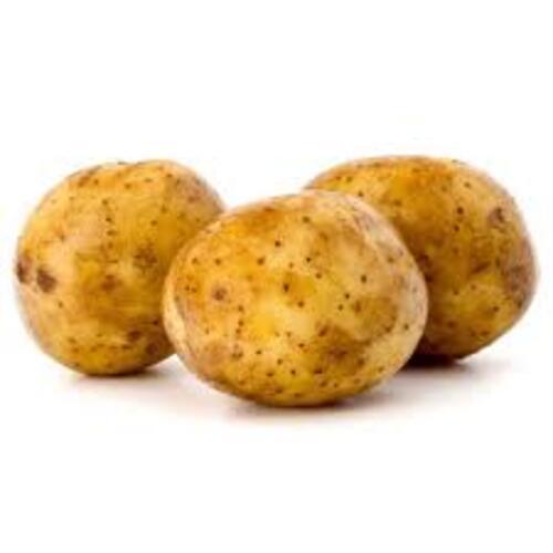 Round & Oval Potassium 12% Protein 4% Vitamin B-6 15% Rich Natural Taste Healthy Organic Raw Potato