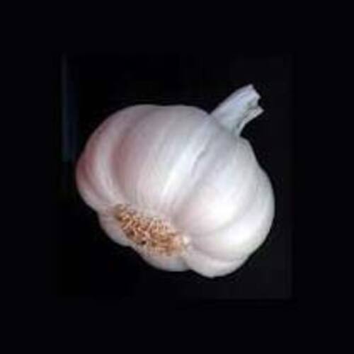 Rich In Taste Natural Healthy White Fresh Garlic
