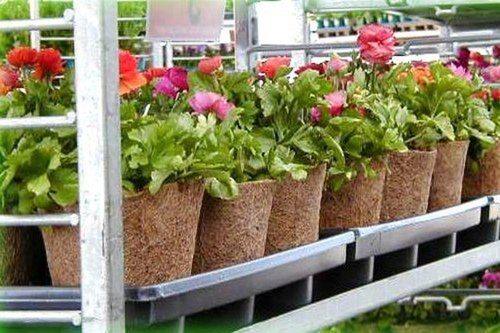 10 Inch Brown Natural Coir Garden Plant Seedling Pot