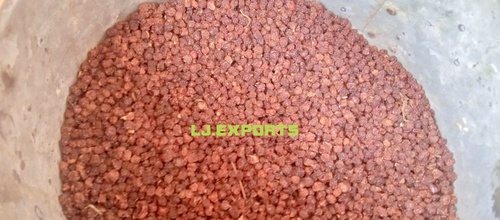 100% शुद्ध और प्राकृतिक ग्लोरियोसा सुपरबा बीज