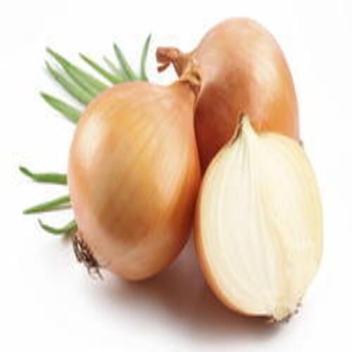 Enhance the Flavour No Preservatives Natural Taste Healthy Fresh Yellow Onion